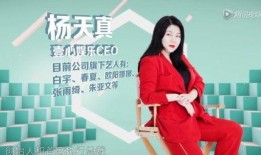 艺涵最新爆料新闻报道,揭秘娱乐圈最新热点事件